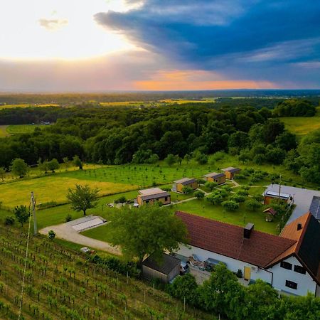 Villa Vinea Panonika Wine & Mind Retreat Radenci Exterior foto
